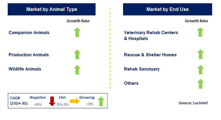 Veterinary Rehabilitation Services by Segment